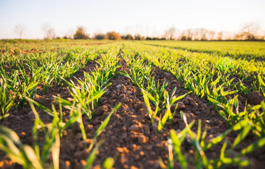 What is regenerative agriculture?