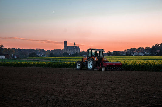 Advantages and disadvantages of organic farming