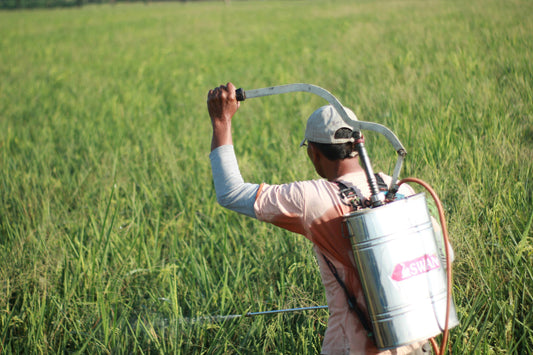 Does organic produce have pesticides?