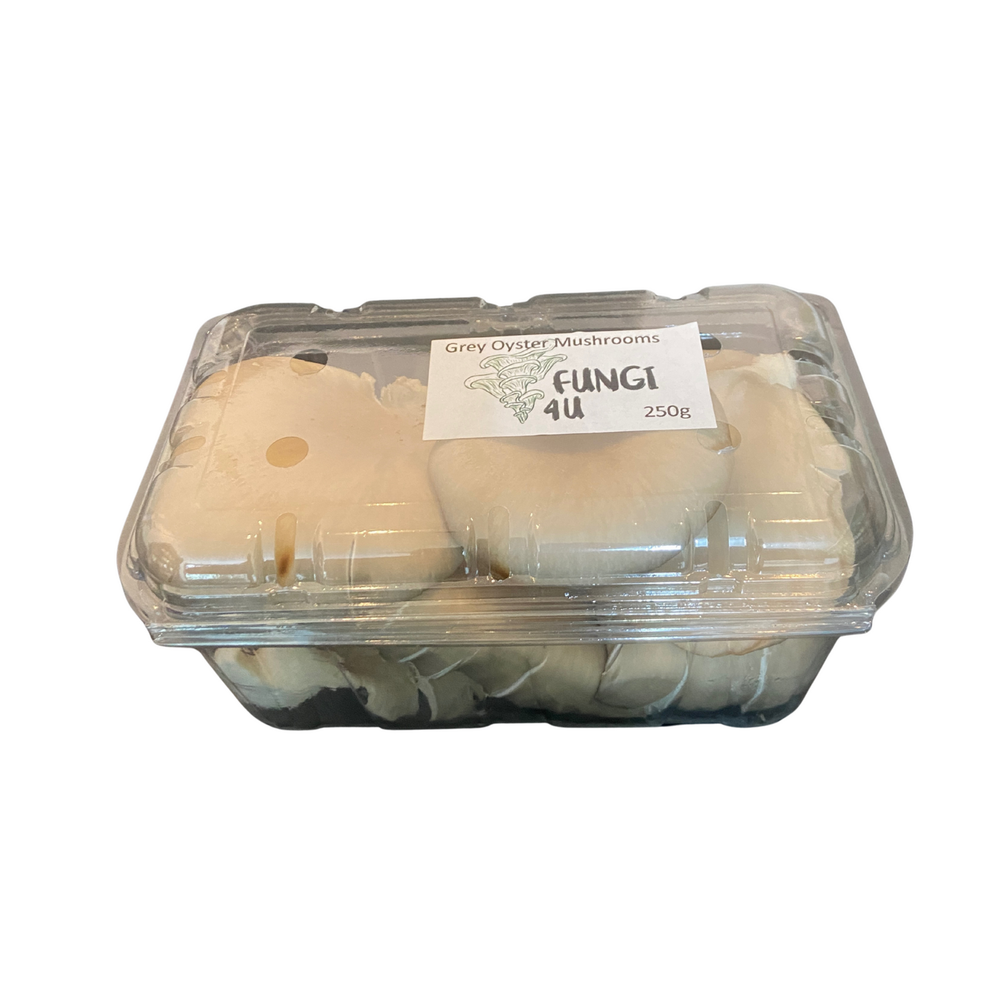250g Grey Oyster Mushrooms