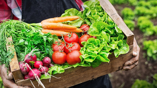 Debunking Common Myths About Organic Eating