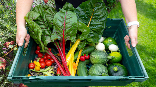 How to Choose the Freshest Organic Produce