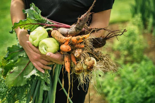 The Best Spring Vegetables to Grow in Your Home Garden