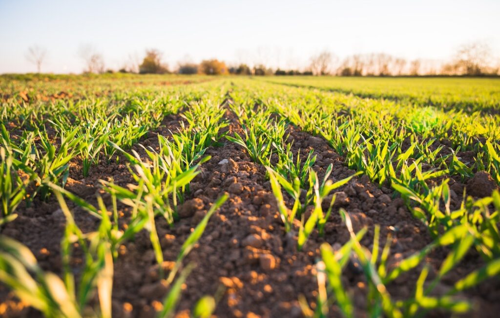 What is regenerative agriculture?