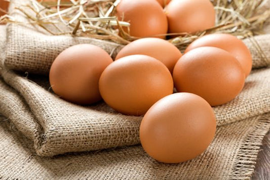 Why Organic Eggs Are Worth the Switch
