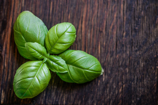 A photo of organic basil from orchrad food