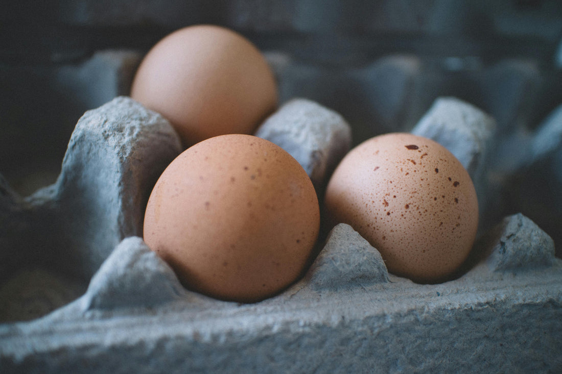 Difference between pasture raised and free range eggs