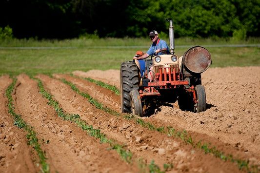 A photo of regenerative agriculture