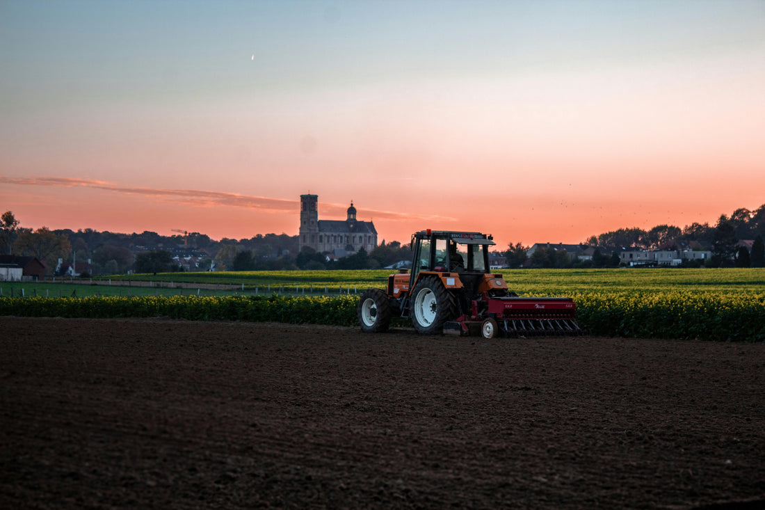 Advantages and disadvantages of organic farming