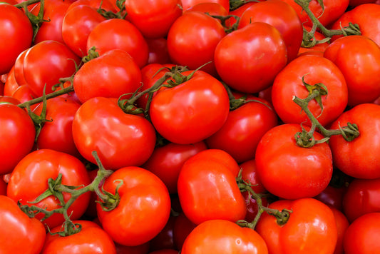 A picture of organic tomatoes