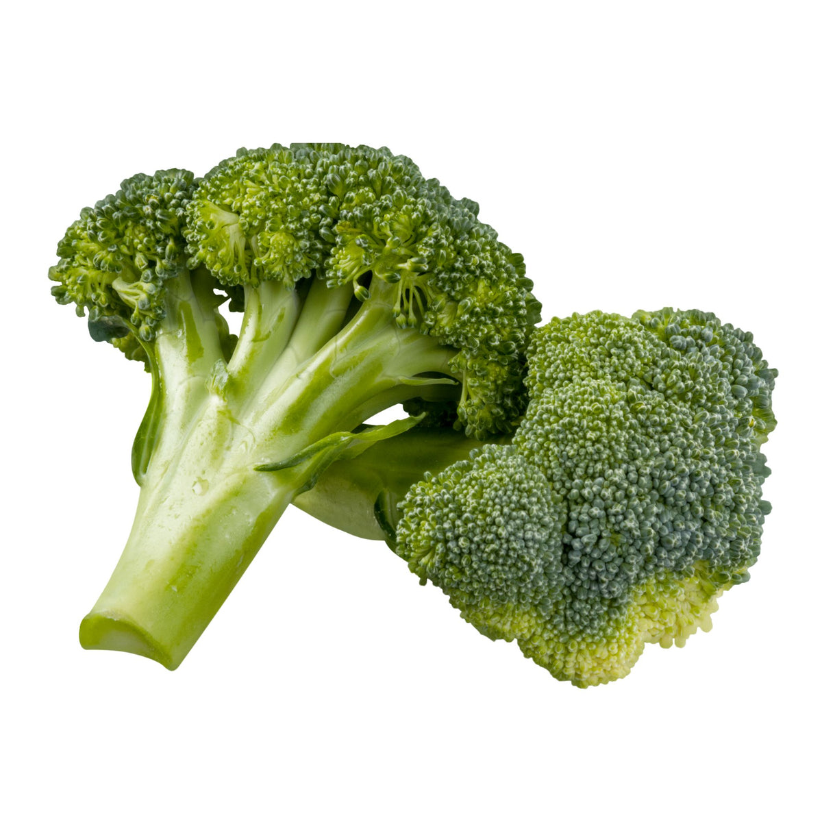 Organic Broccoli – Orchard Food