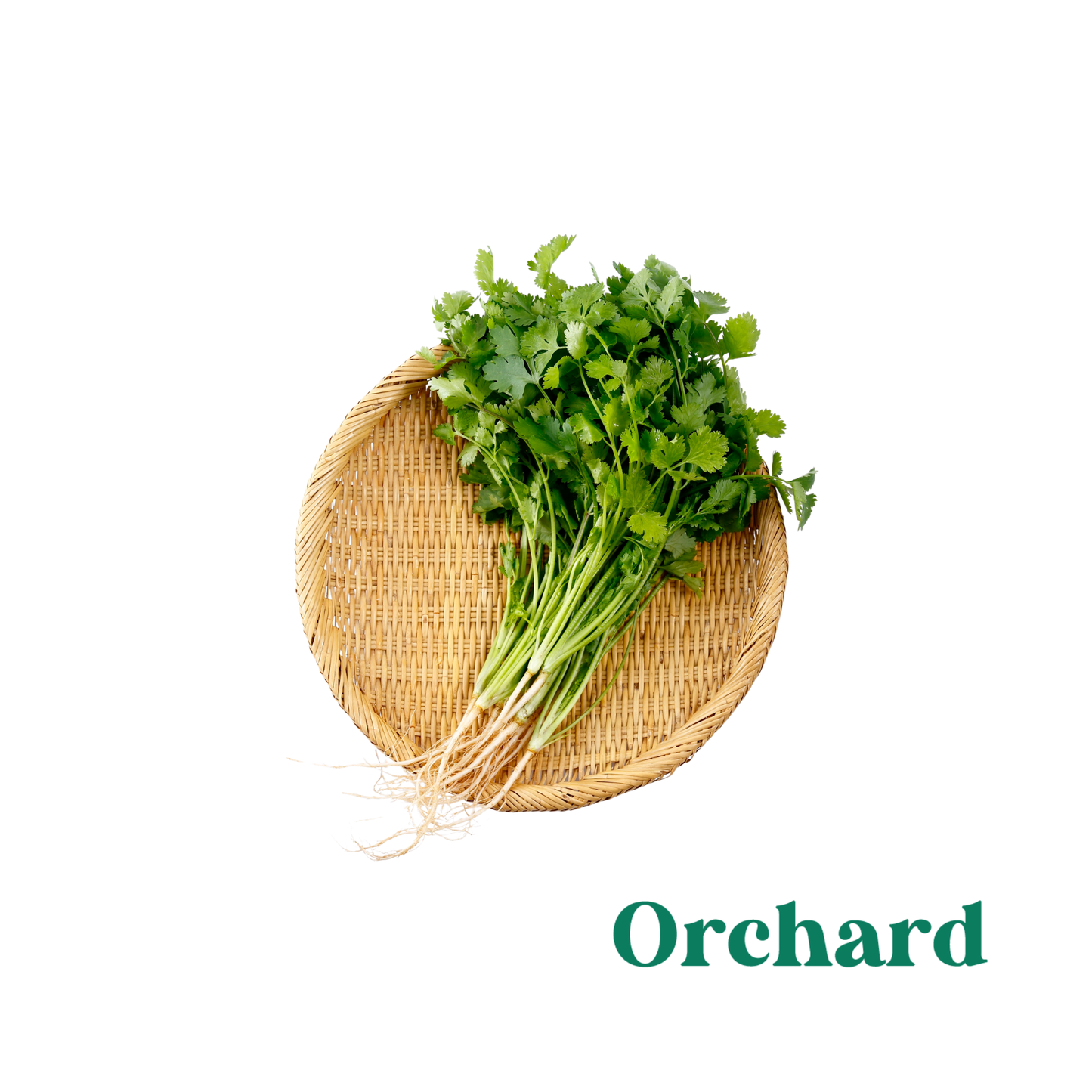 100g Organic Coriander