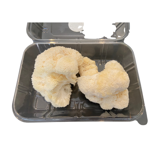 250g Fresh Lion's Mane Mushrooms