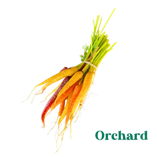 250g Organically Grown Rainbow Carrots
